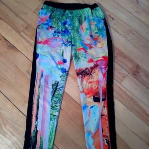 CLOVER CANYON PANTS